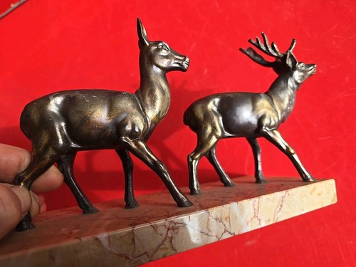 Cerf biche regule sur - cerf,
