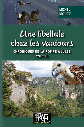 Une libellule chez - , les