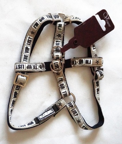 Harnais virtuose avec - avec, sangle