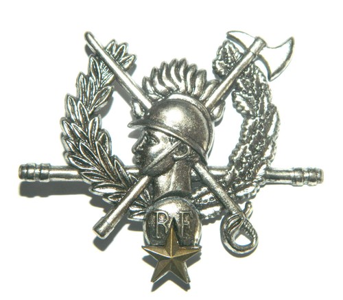 Insigne sapeurs pompiers - insigne,