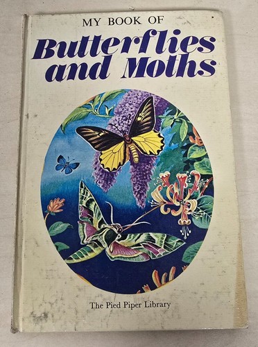 Book butterflies and - butterflies,