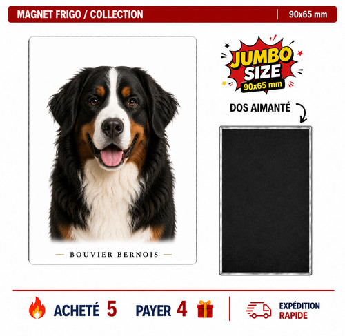 Magnet bouvier bernois 90x65 - bouvier,