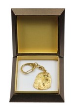 Collie Barbu, Bearded collie