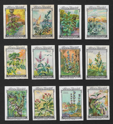 Poster stamps aromatic plants - stamps,