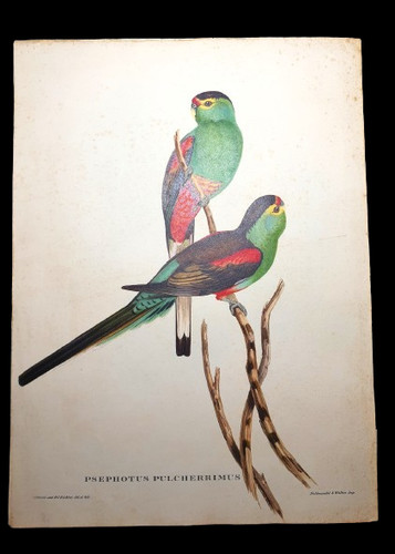 Lithographie ancienne john - lithographie,