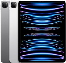 Apple iPad Pro 11" 4th Gen