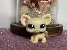 🌸Petshop Chien Papillon