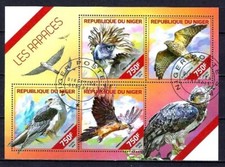 Animaux Oiseaux Rapaces Niger