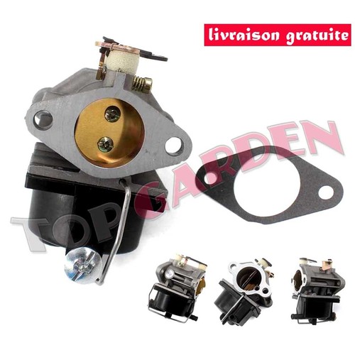 Carburateur pour tecumseh - pour,