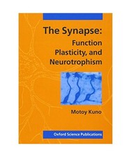 The Synapse: Function