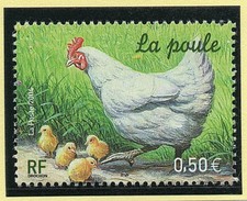 PROMO 200 POCHETTES HAWID FOND