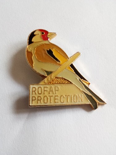 Pin rofap chardonneret - pin's,