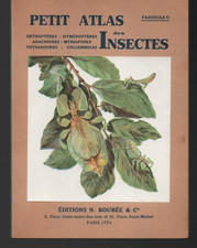 Atlas Boubée Les Insectes