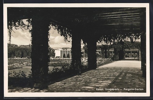 Essen grugapark jardin de - jardin,