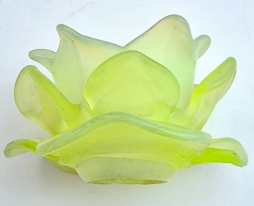 Tulipe verte pate verre - pate,