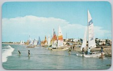 Ensenada Baja California Mexico Vintage Postcard Hobie Cat Regatta Sailboat