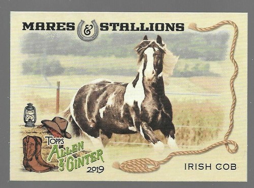 2019 topps allen ginter - topps, &