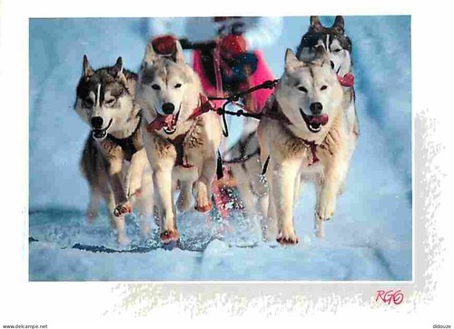 Carte postale animaux - carte,