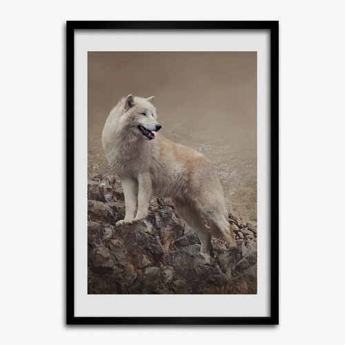 Photo salon 50x70cm - le, cadre