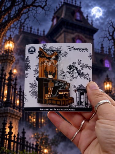 Disney disneyland paris - disneyland,
