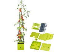 Pot avec tuteur pour plant de