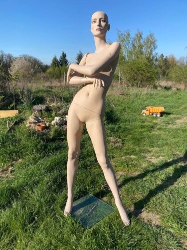 Mannequin rootstein - mannequin,