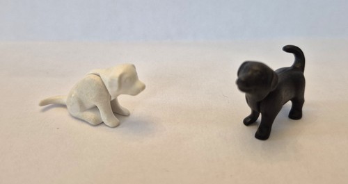 Lot chiots noir et blanc - et,