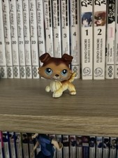 Petshop #58 Chien Colley