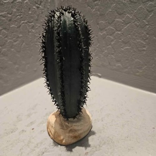 Decorative artificial cactus - decorative,