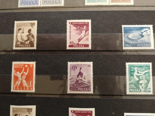 Timbres pologne neufs sport - neufs,