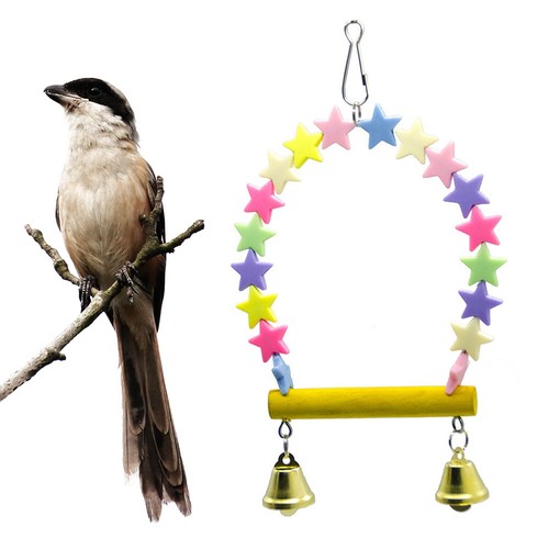 Accessoires pour cage - accessoires,