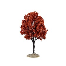 Arbre De Cyprès Grave Moyen -