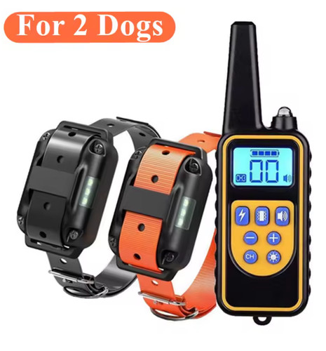 Collier dressage chien anti - dressage,