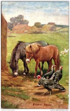 THEMES - HORSES - Two horses and poultry