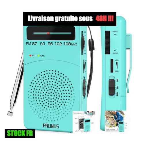 Prunus 166 radio - prunus, portable