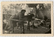 Portrait Woman Leaning Table Trade Garden Dog - Old Photo - Year 1950