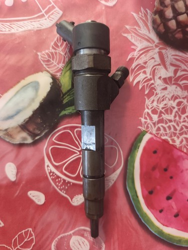 Injecteur bosch 0445110021 - injecteur,