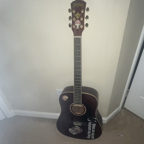 Washburn string dreadnought - washburn,