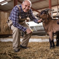 Kit De Toilettage Pour Chevaux