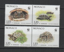 Monaco 1991 tortue d'Hermann 4