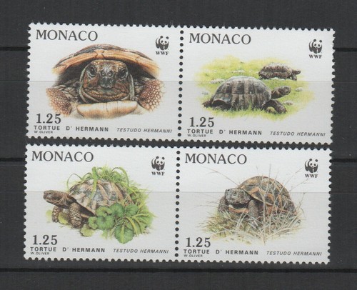 Monaco 1991 tortue hermann 4 - monaco,
