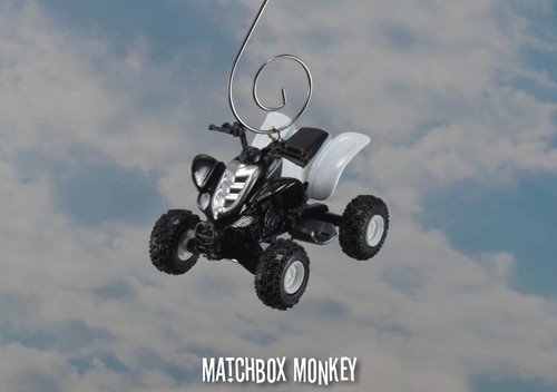 Custom yamaha raptor 660r - custom,