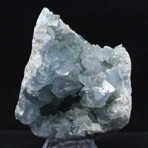 Grande druse célestine - grande,