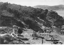 VAR  ILE DU LEVANT ( centre