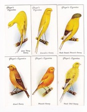 Six 1933 Bird Painting Cards