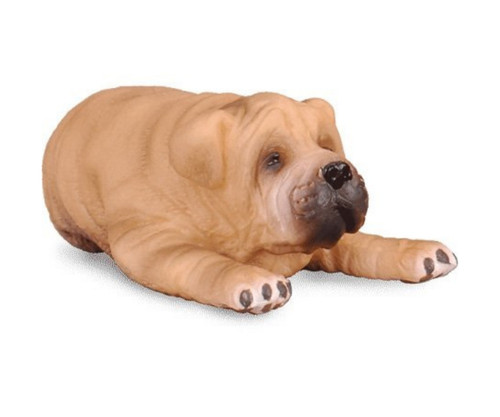 Collecta chiot sharpei - chiot,