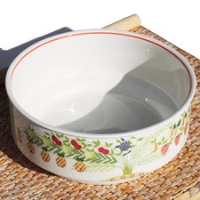 Saladier en vitro - porcelaine Villeroy & Boch / modèle Bon Appetit / Appetito