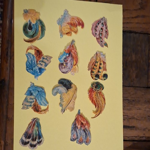 Lot découpis chromos - de, 10