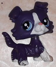 Petshop chien colley 1676