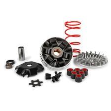 Mf1692 Variateur Malossi